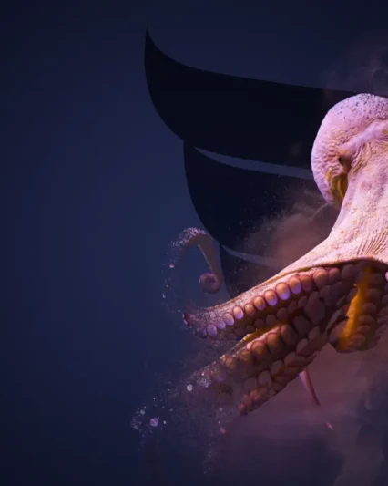 immagine rappresentativa octopus asset management niva